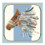 Šátek - Silk scarf Spring/Summer 2025 Collection